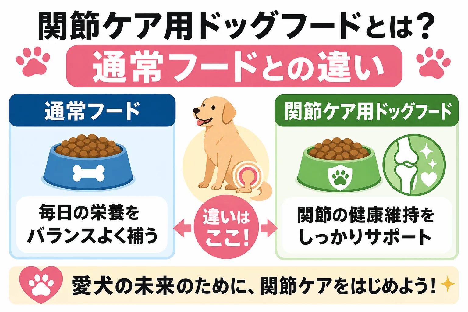 関節ケア用ドッグフードとは?通常フードとの違い