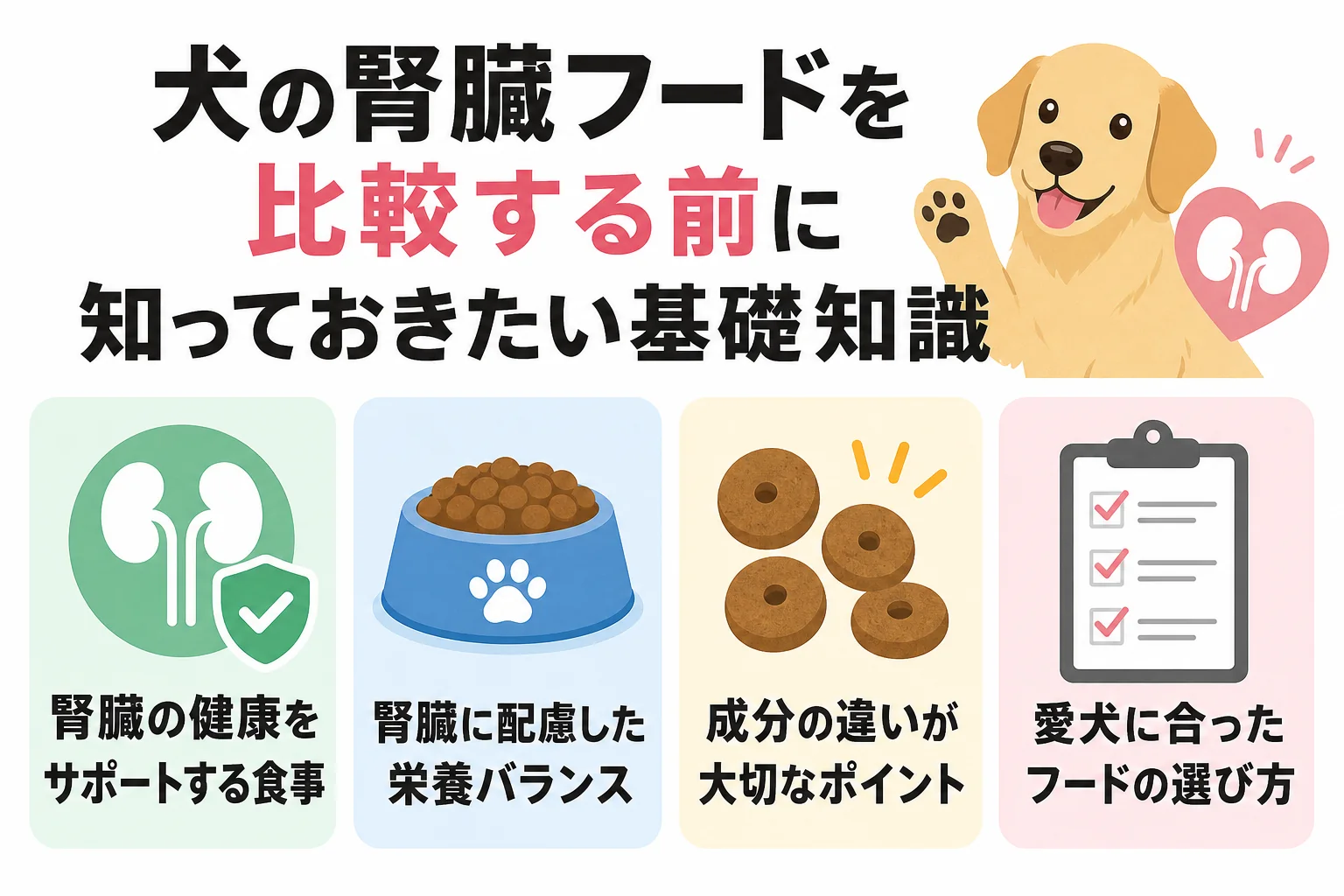 犬の腎臓フードを比較する前に知っておきたい基礎知識