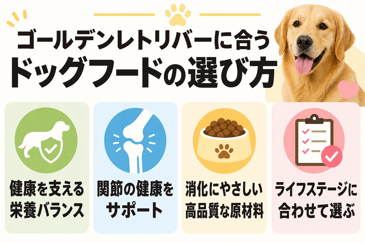 ゴールデンレトリバーに合うドッグフードの選び方