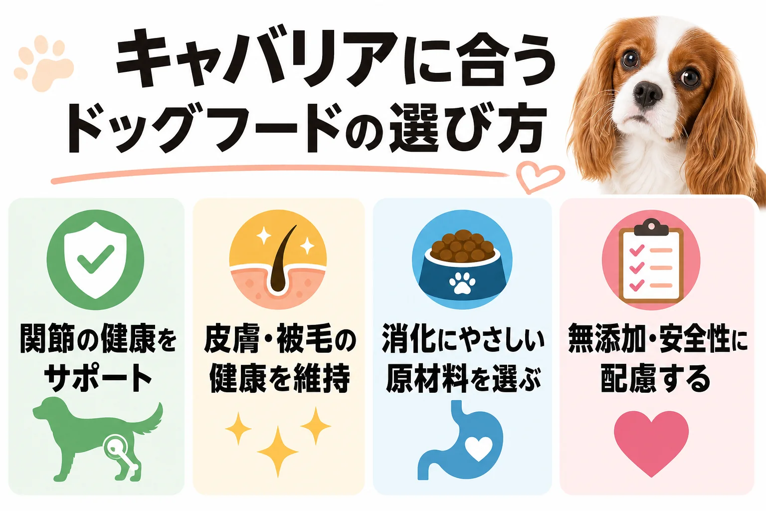 キャバリアに合うドッグフードの選び方