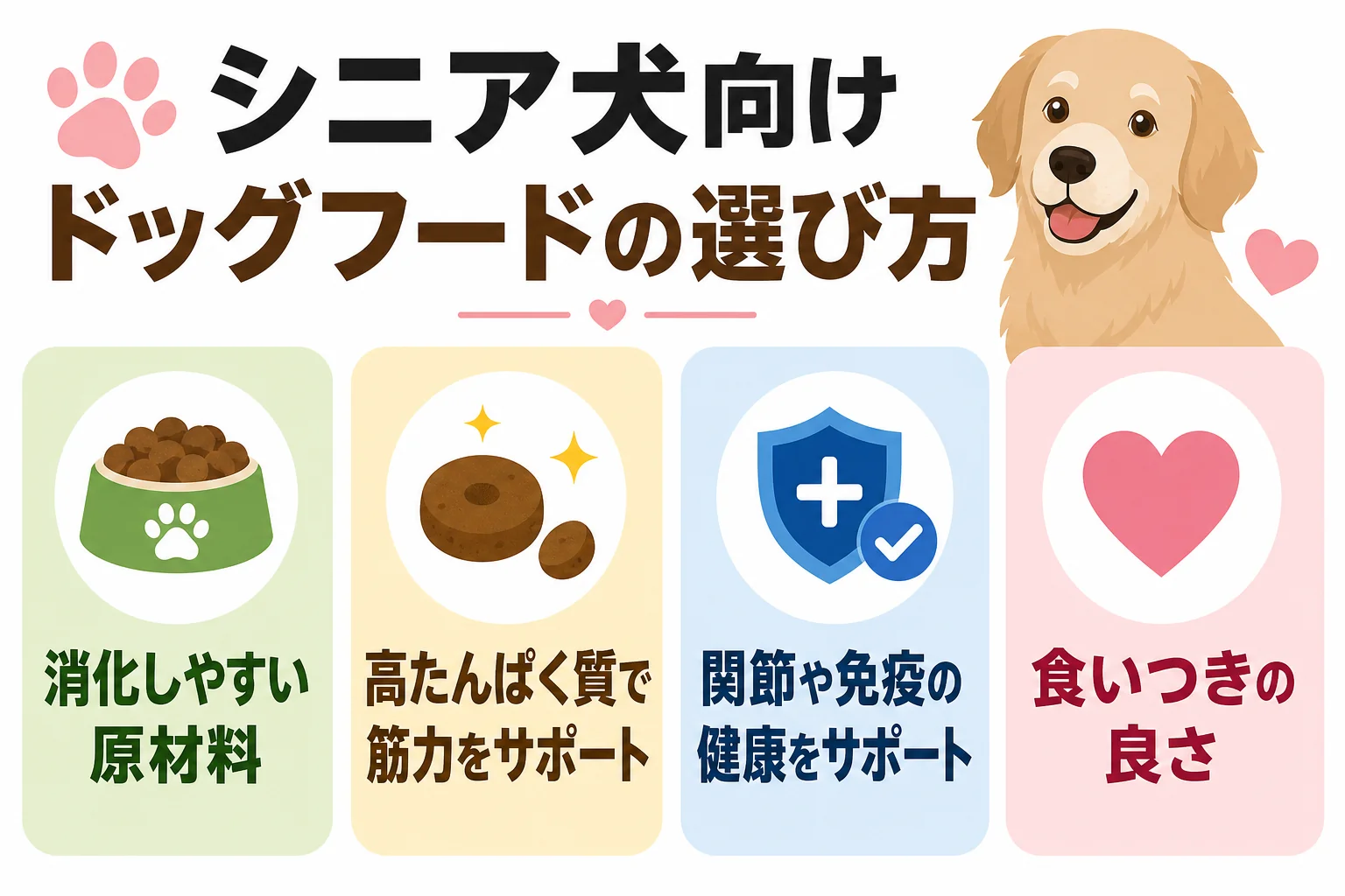 シニア犬向けドッグフードの選び方