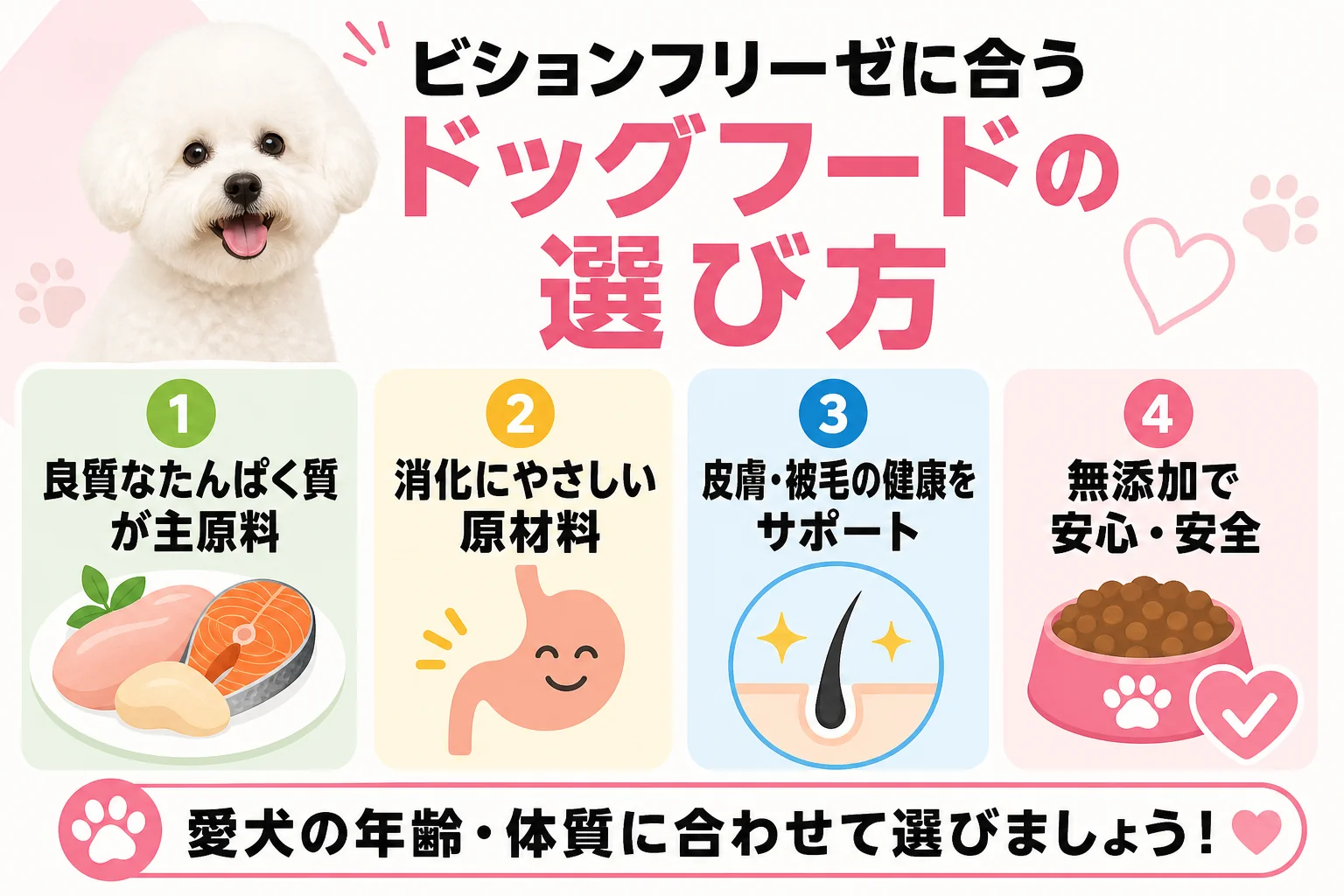 ビションフリーゼに合うドッグフードの選び方