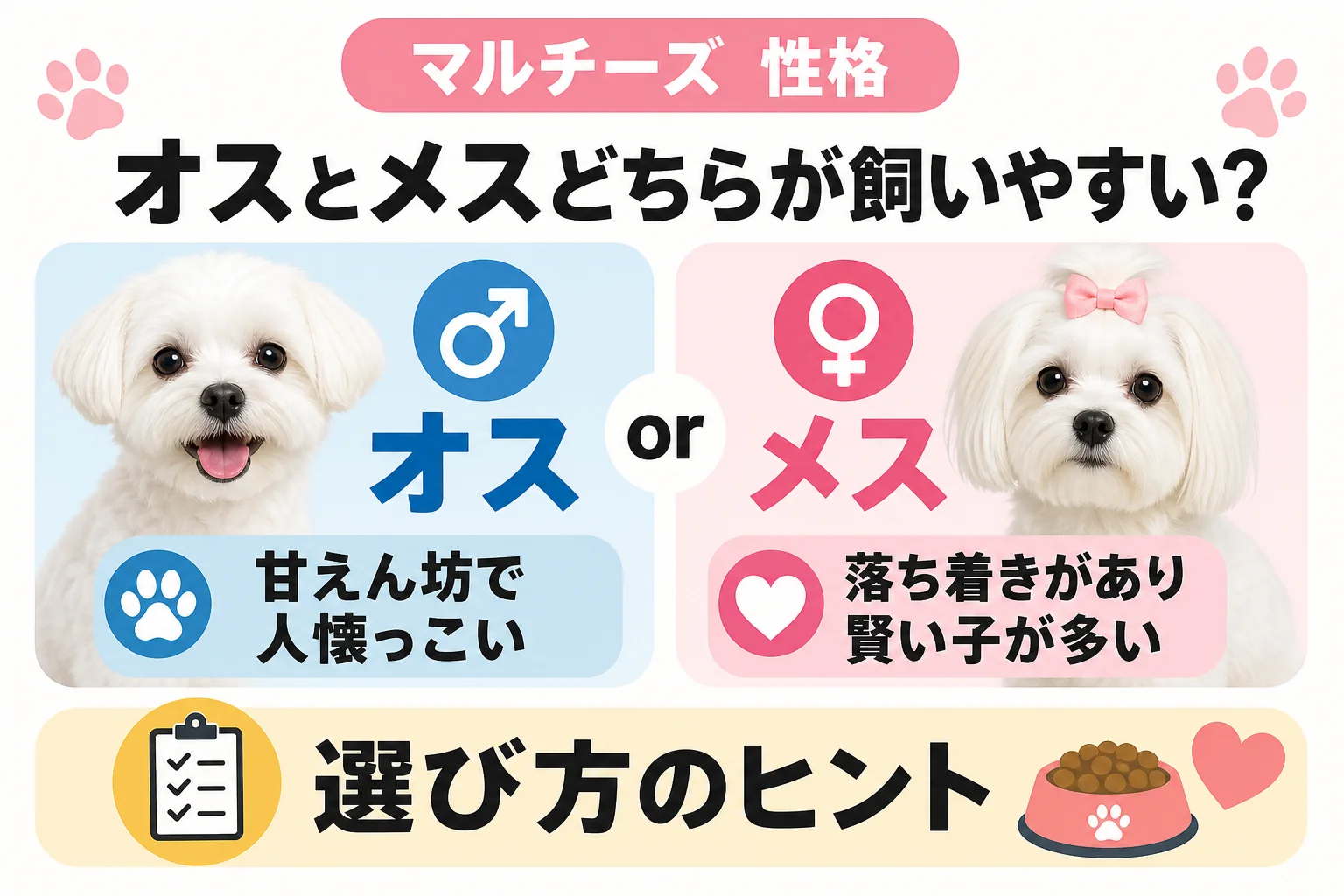 オスとメスどちらが飼いやすい?選び方のヒント