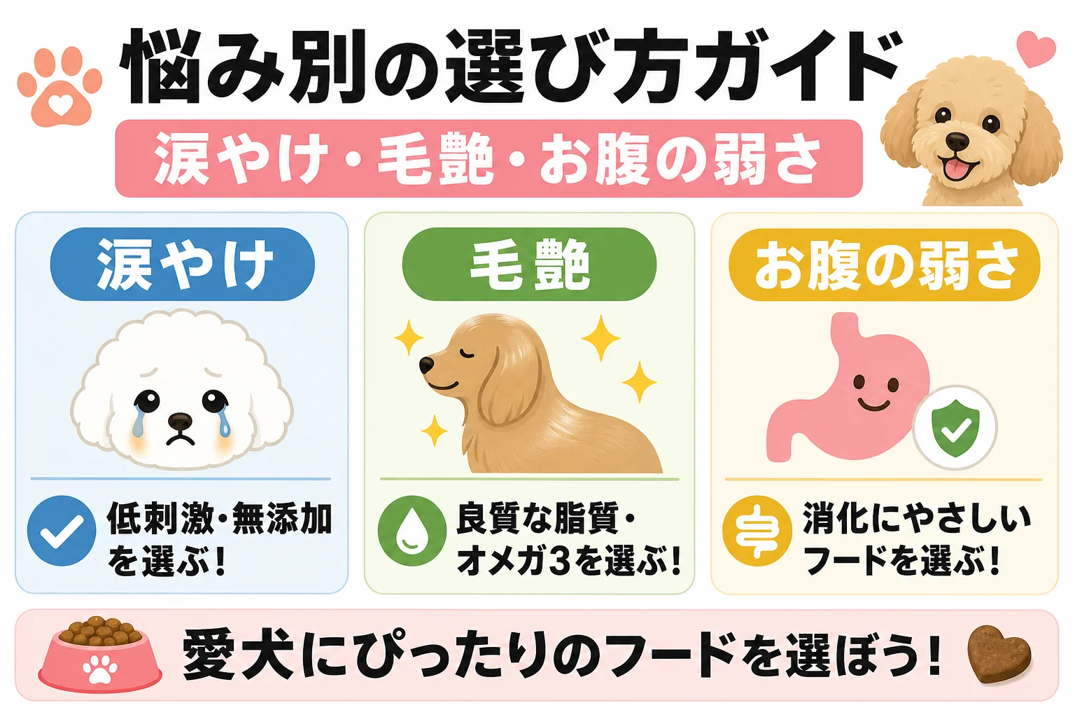 悩み別の選び方ガイド(涙やけ・毛艶・お腹の弱さ)
