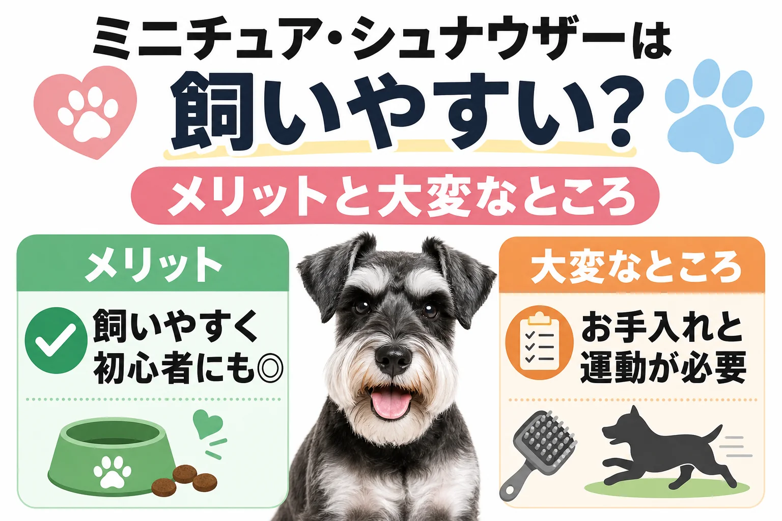 ミニチュア・シュナウザーは飼いやすい?メリットと大変なところ
