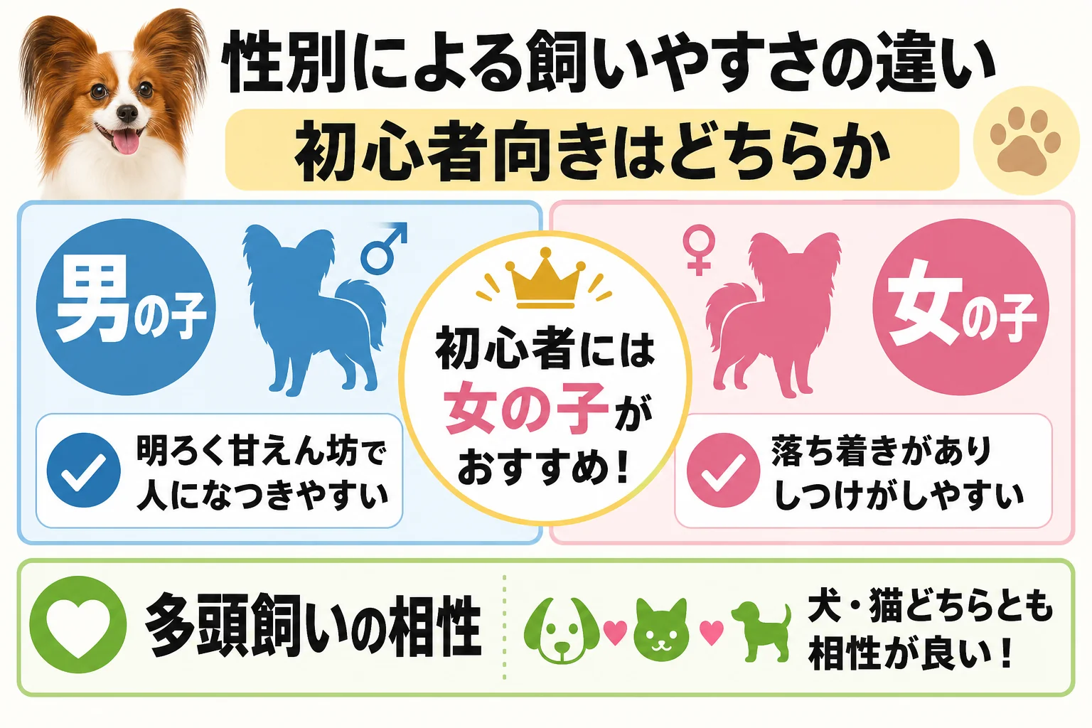 性別による飼いやすさの違い: 初心者向きはどちらか / 多頭飼いの相性