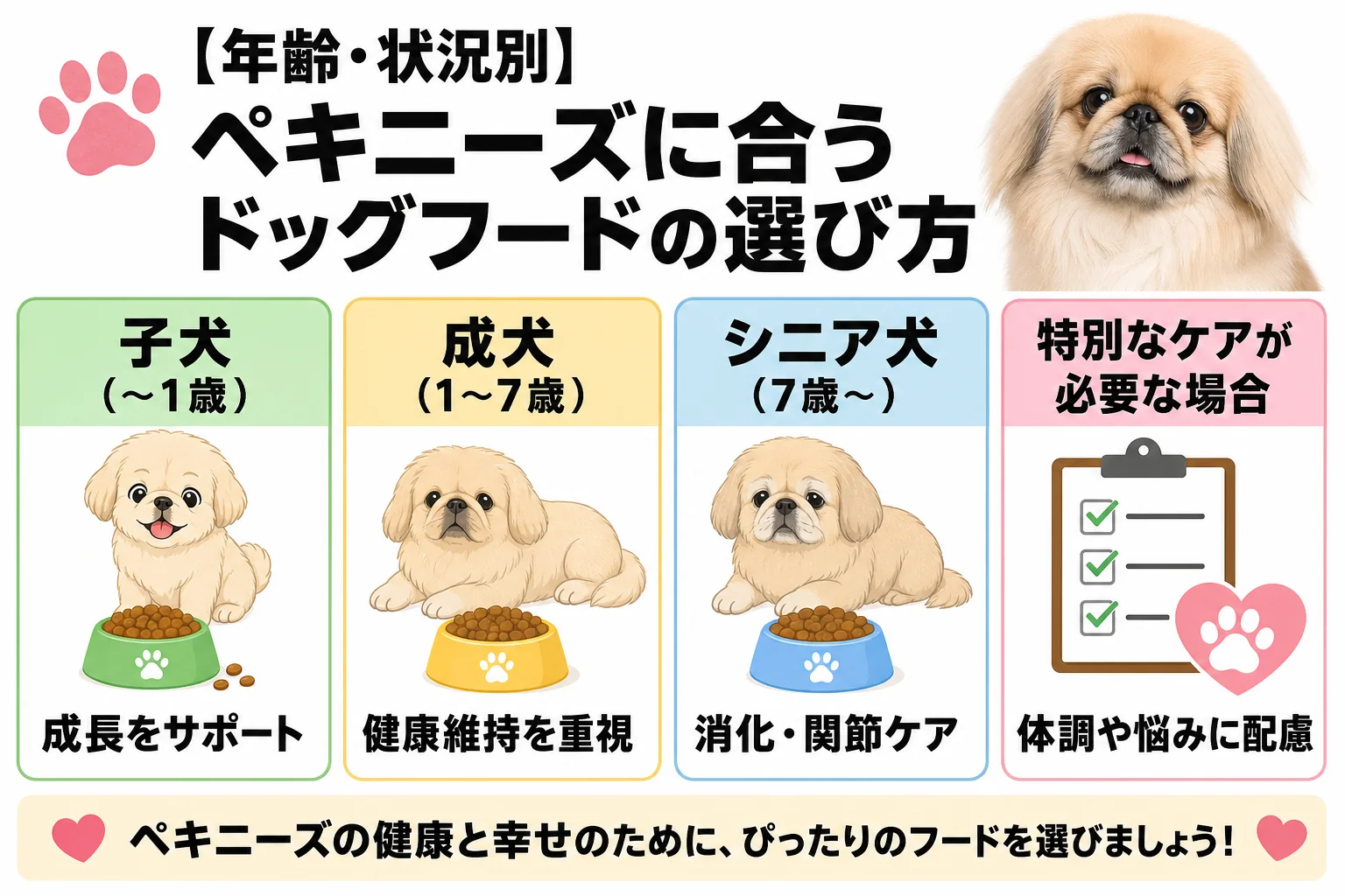 【年齢・状況別】ペキニーズに合うドッグフードの選び方