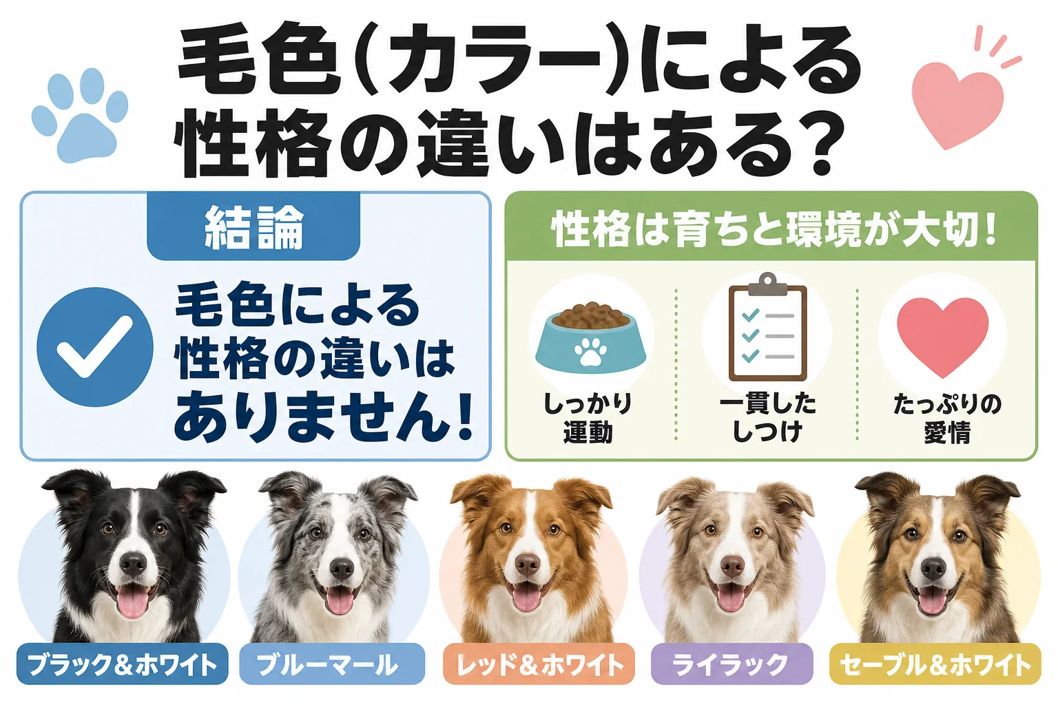 毛色(カラー)による性格の違いはある?