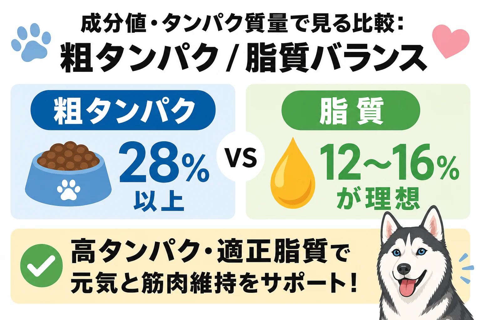 成分値・タンパク質量で見る比較: 粗タンパク / 脂質バランス