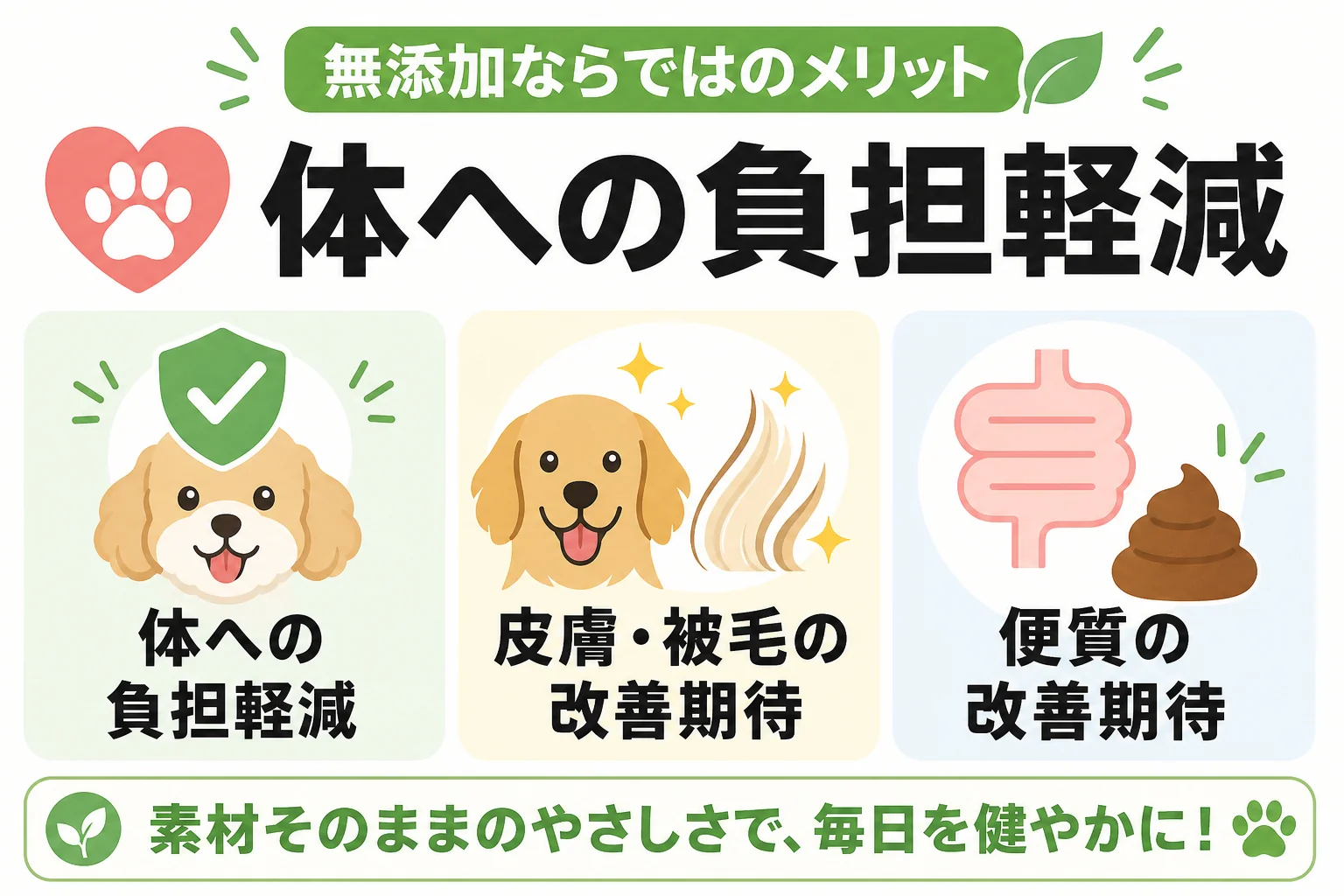 無添加ならではのメリット: 体への負担軽減 / 皮膚・被毛・便質の改善期待