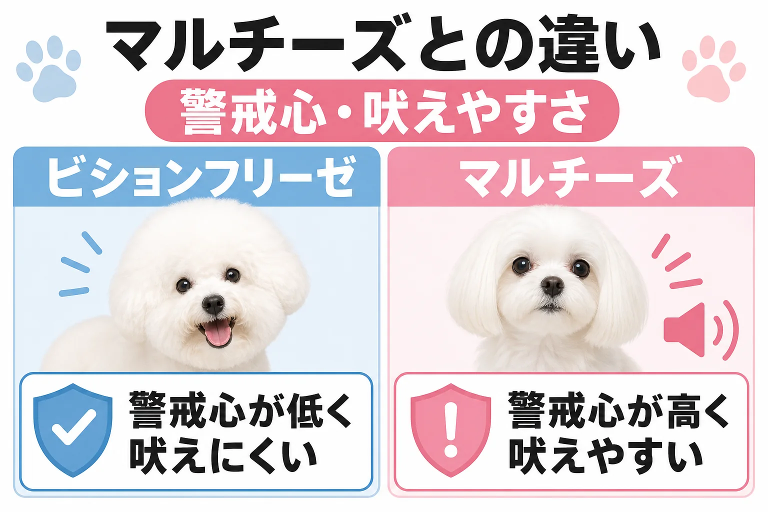 マルチーズとの違い|警戒心・吠えやすさ