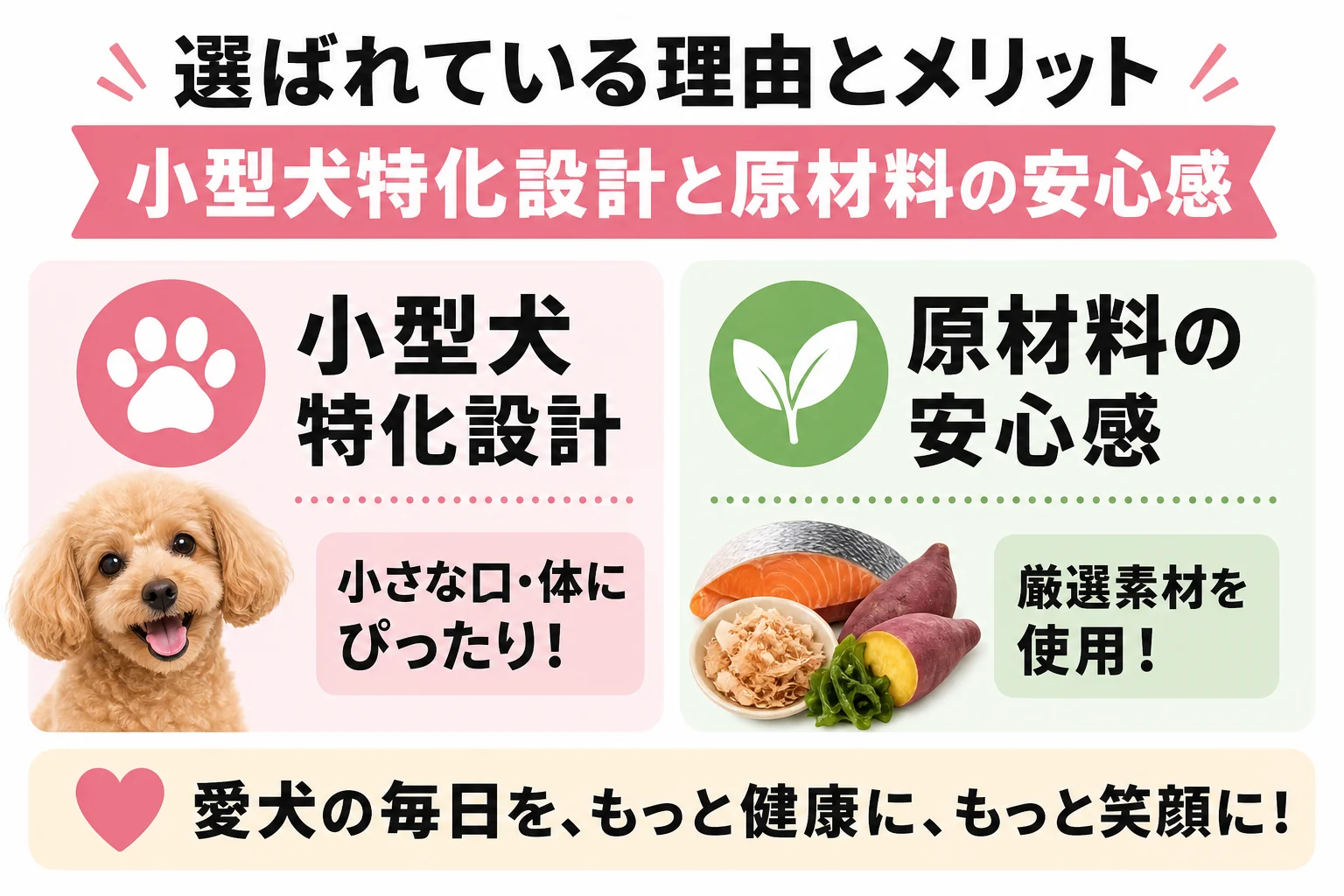選ばれている理由とメリット:小型犬特化設計と原材料の安心感