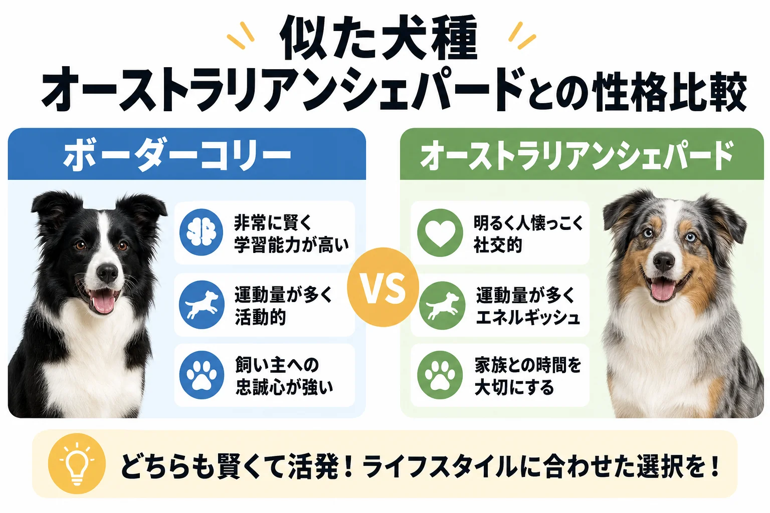 似た犬種オーストラリアンシェパードとの性格比較
