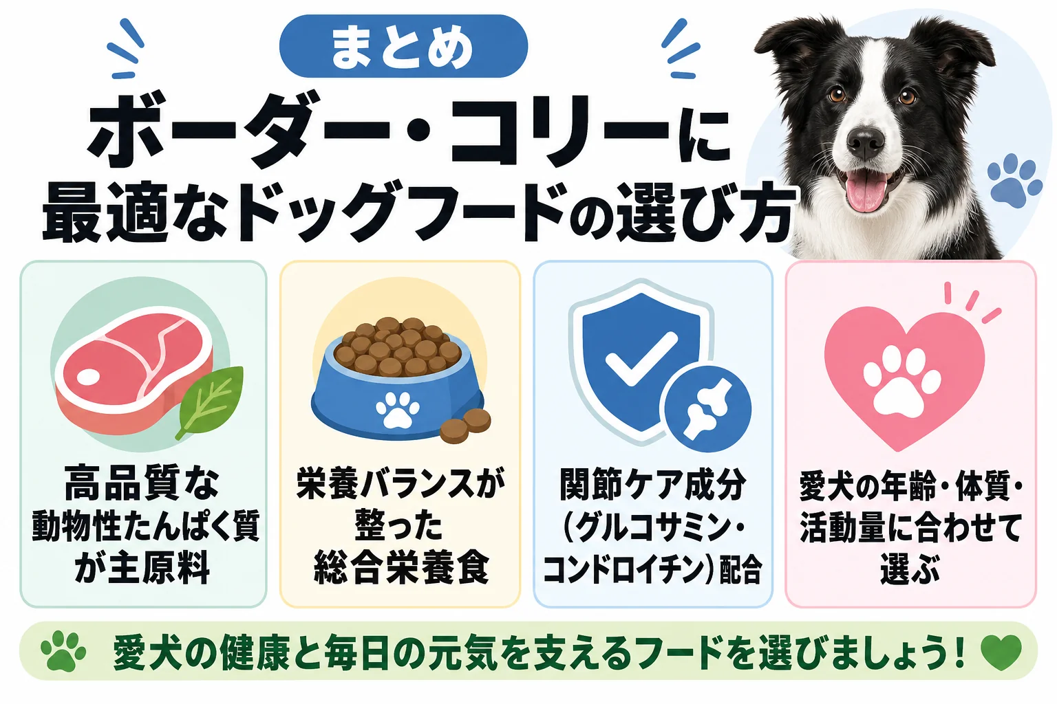 まとめ|ボーダー・コリーに最適なドッグフードの選び方