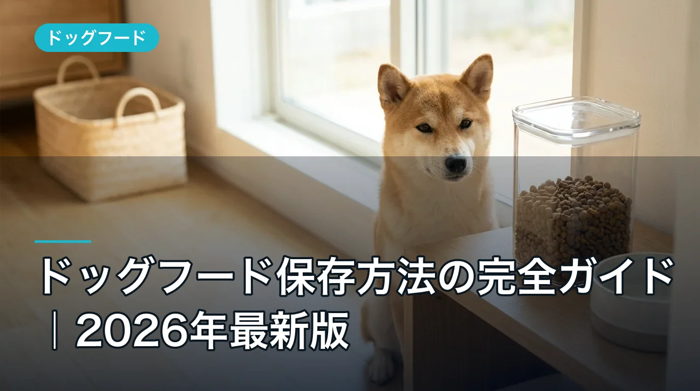 ドッグフード保存方法の完全ガイド｜2026年最新版
