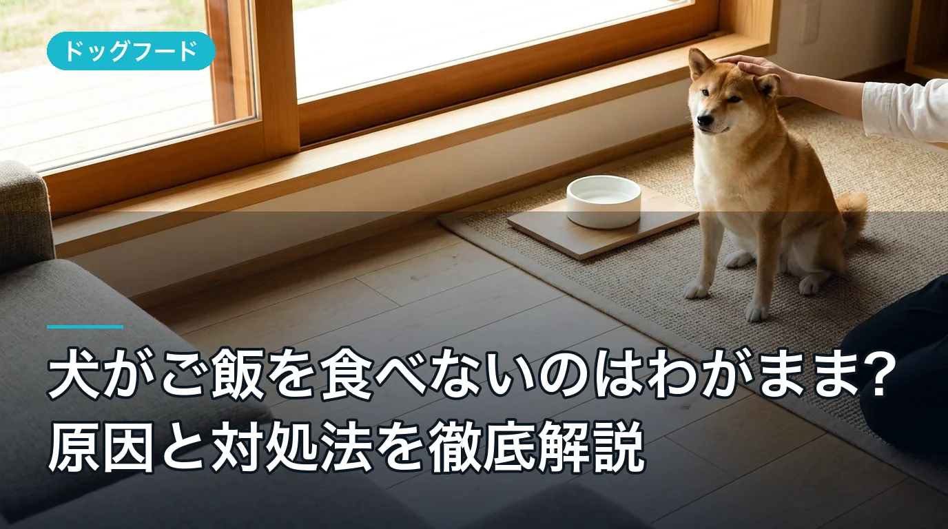 犬がご飯を食べないのはわがまま?原因と対処法を徹底解説
