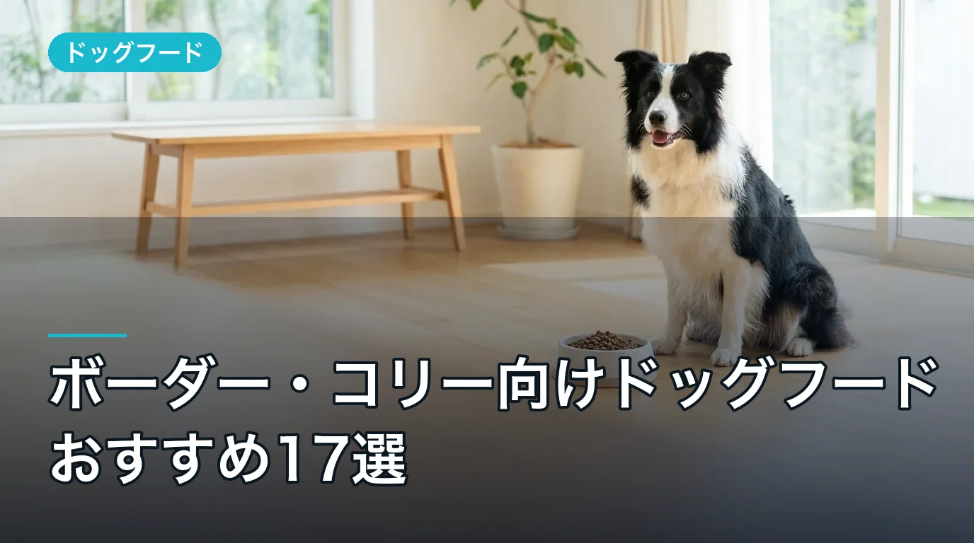 ボーダー・コリー向けドッグフードおすすめ17選|2026年最新比較