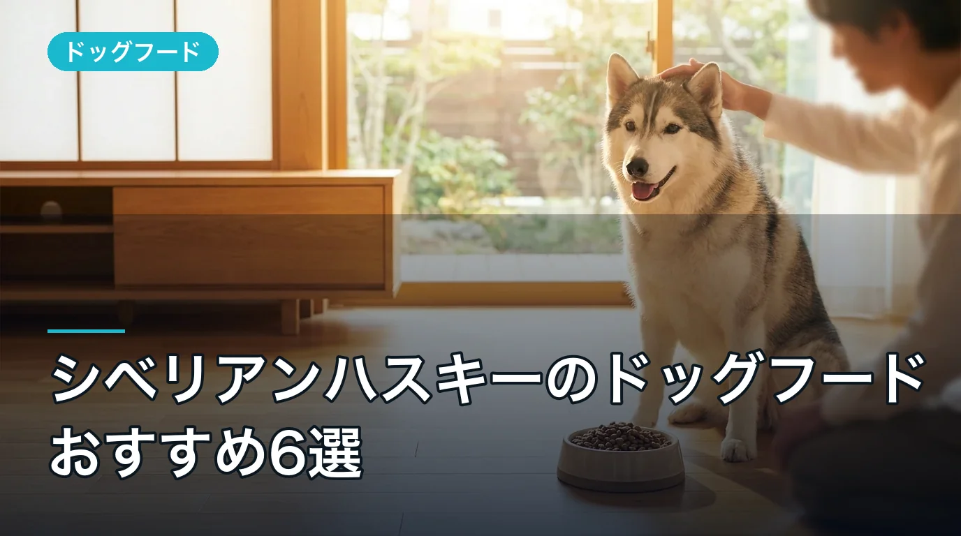 シベリアンハスキーのドッグフードおすすめ6選|徹底比較