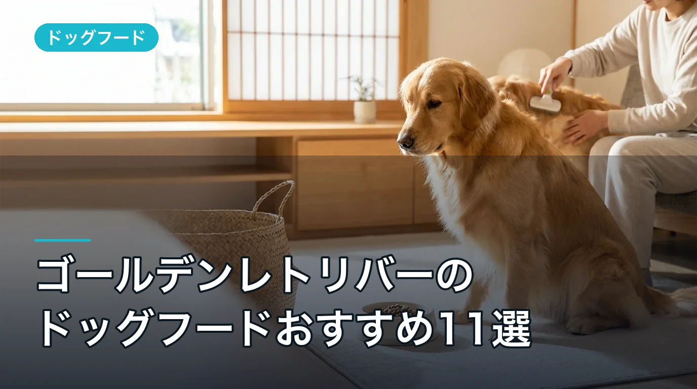ゴールデンレトリバーのドッグフードおすすめ11選|2026年最新