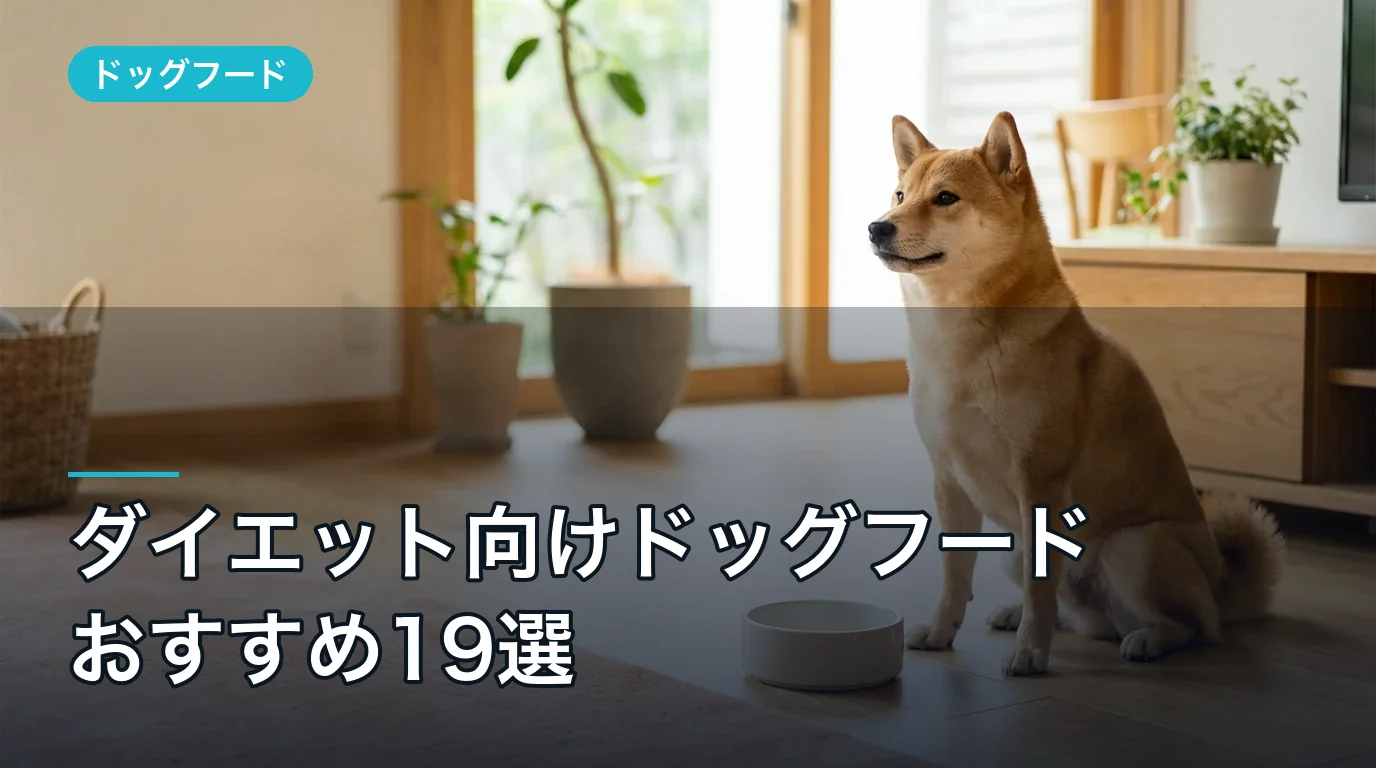 ダイエット向けドッグフードおすすめ19選|2026年最新