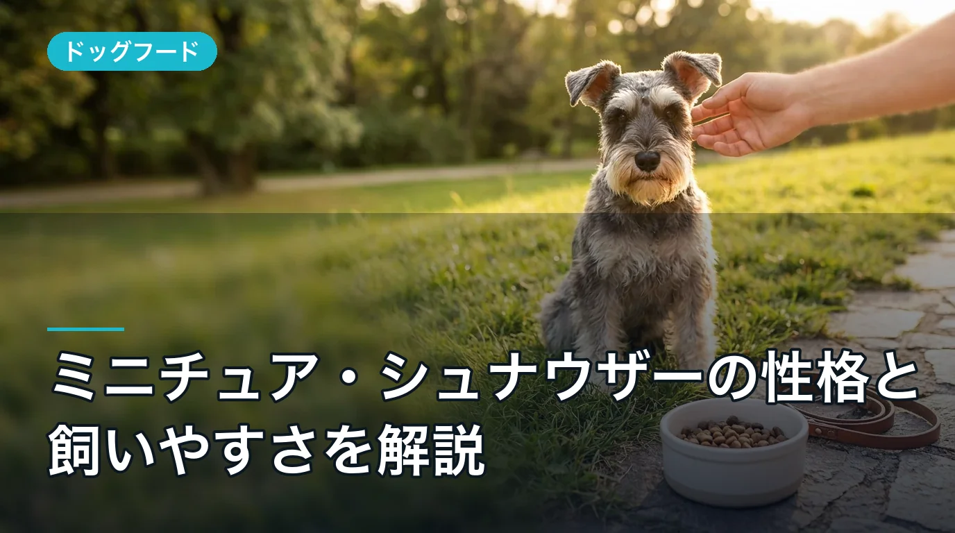 ミニチュア・シュナウザーの性格と飼いやすさを解説|失敗しない迎え方チェックポイント