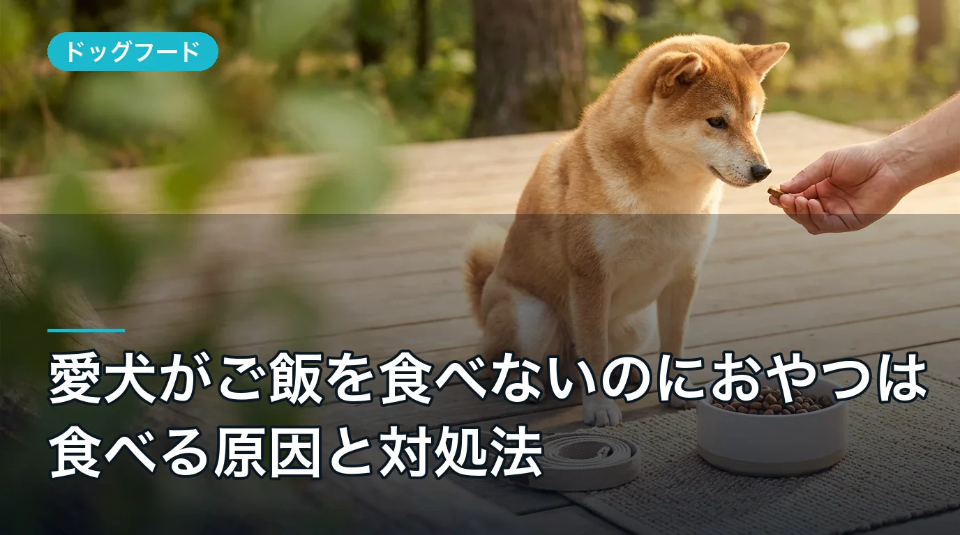 愛犬がご飯を食べないのにおやつは食べる原因と対処法