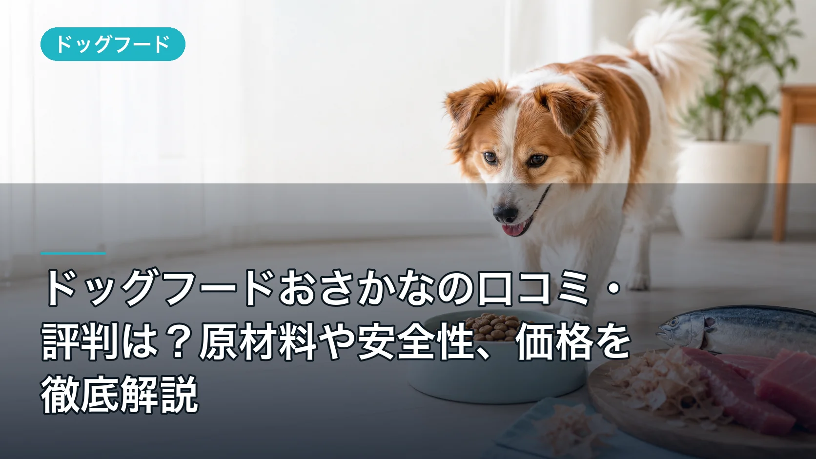 ドッグフードおさかなの口コミ・評判は？原材料や安全性、価格を徹底解説