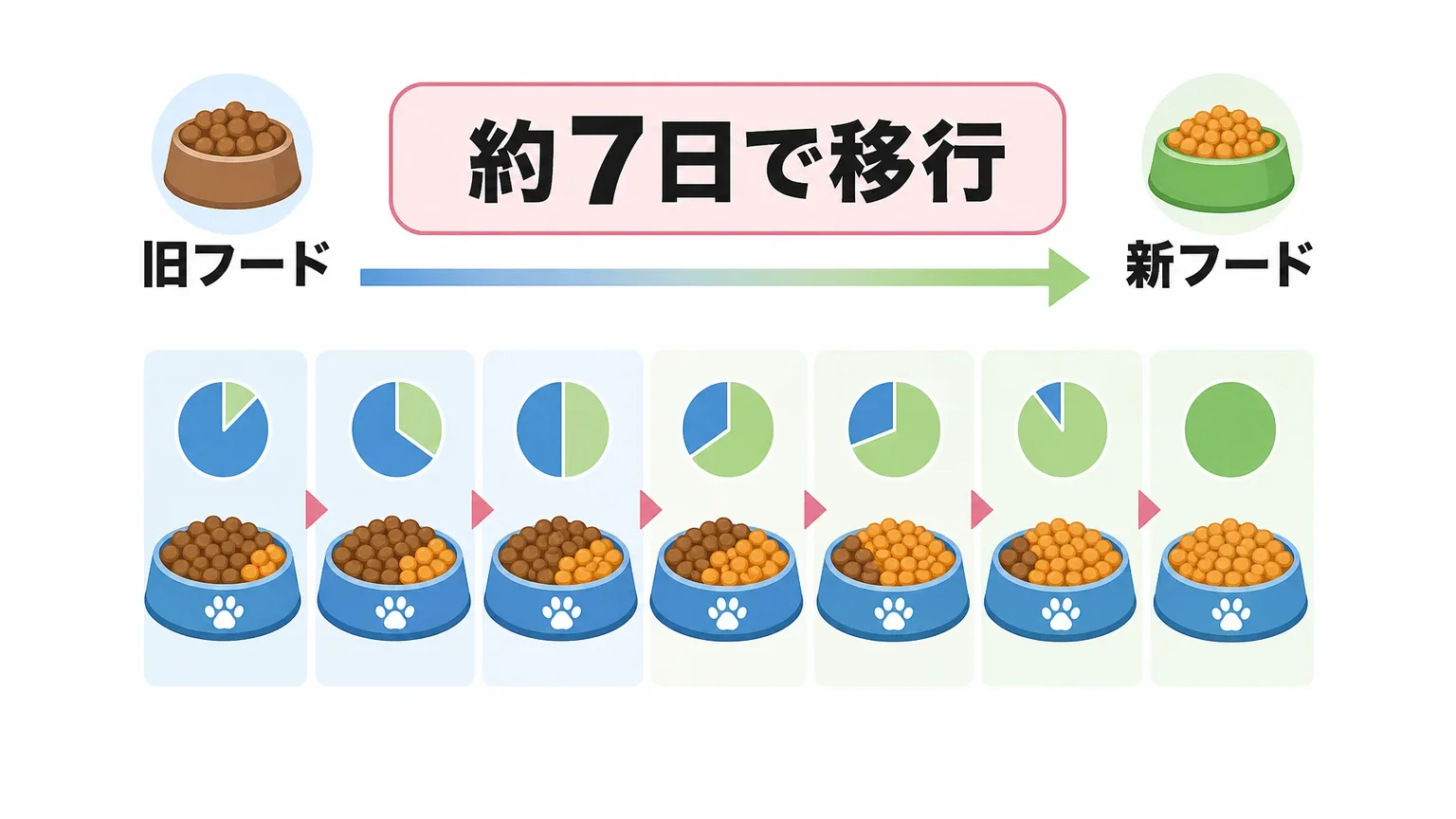 子犬・成犬・シニアで変わるフードと1日の量