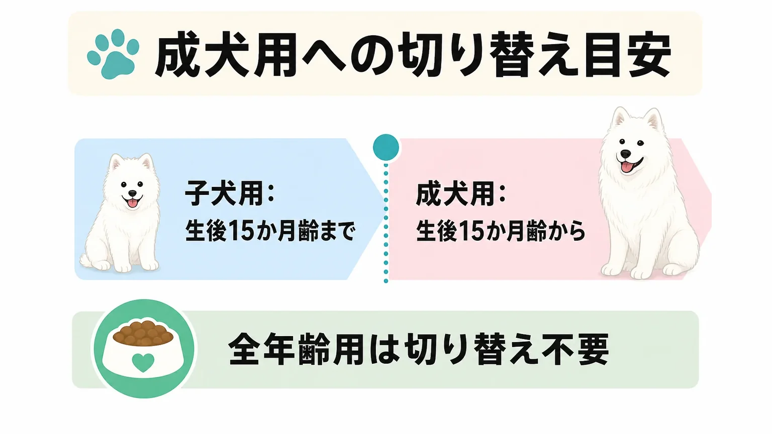 子犬のサモエドのドッグフードの選び方と成犬用への切り替え時期