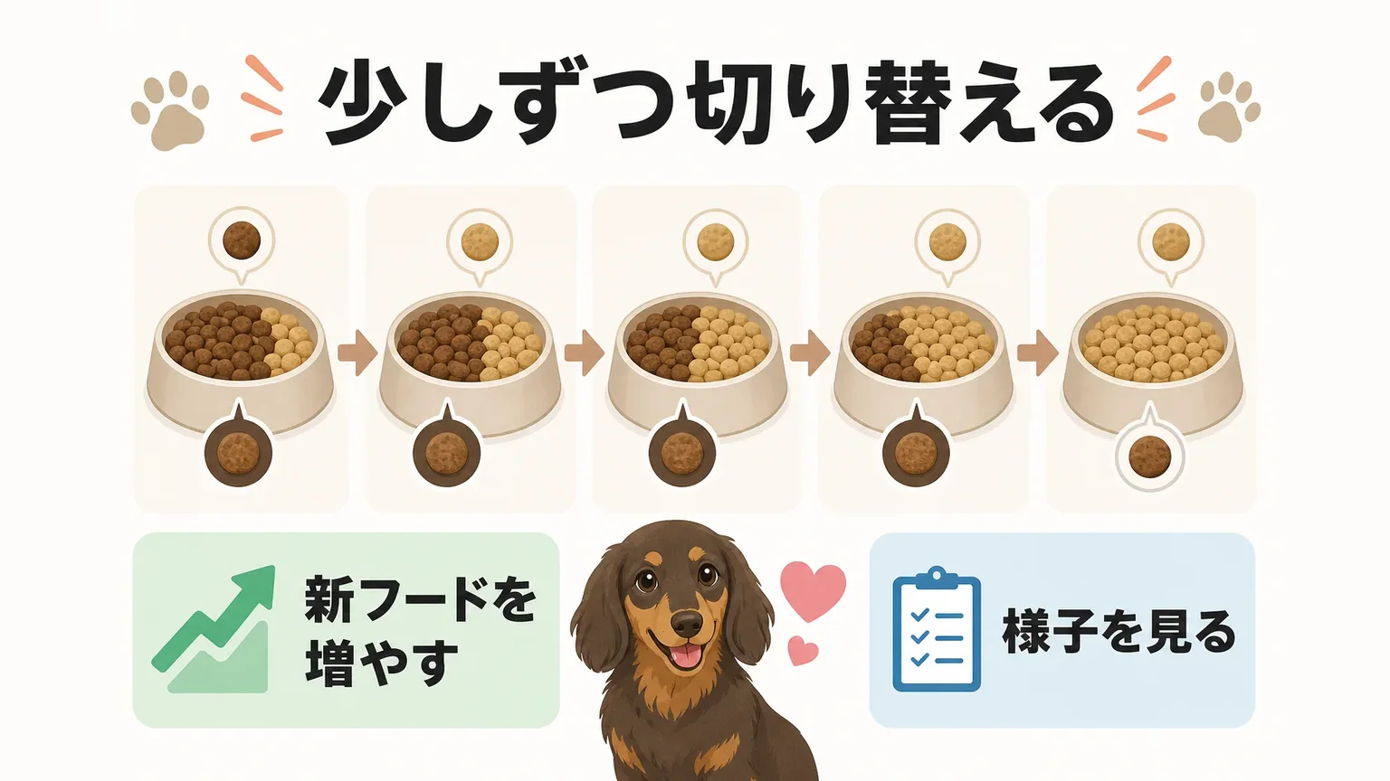 新しいフードへの切り替え方