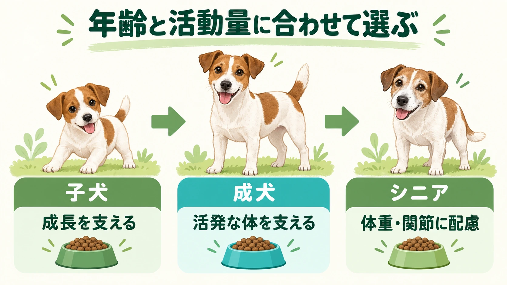 年齢と活動量に合わせて選ぶ