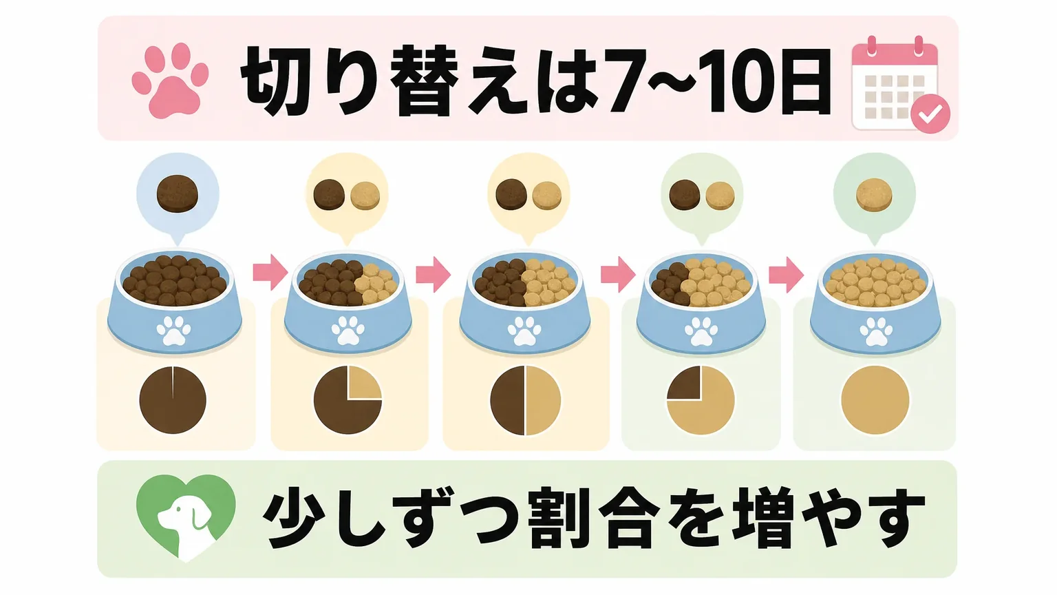 子犬のシェルティに与えるフードと成犬との違い