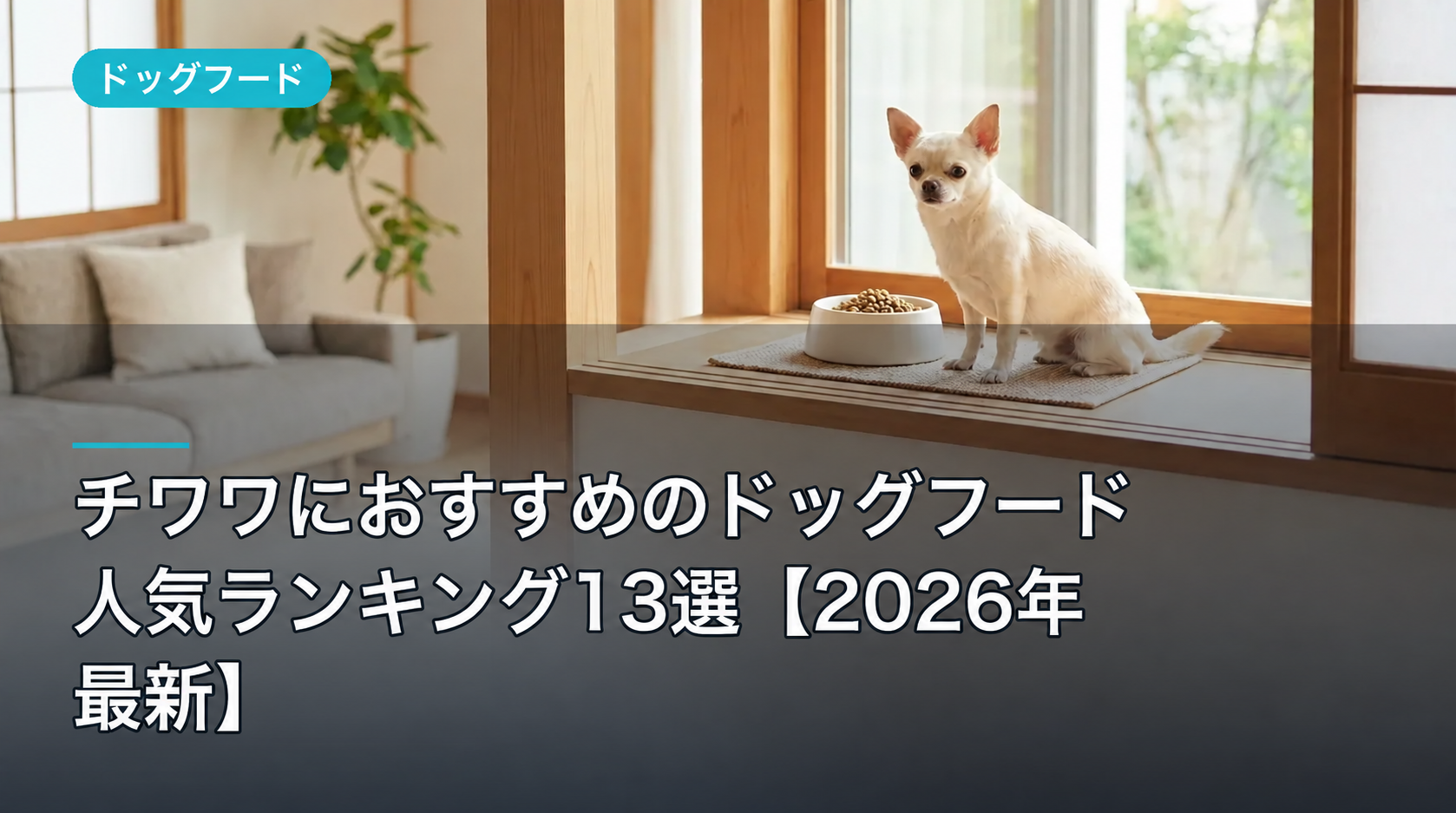 チワワにおすすめのドッグフード人気ランキング13選【2026年最新】