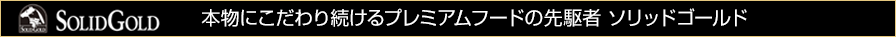 SOLID GOLD ソリッドゴールド / SOLIDGOLD