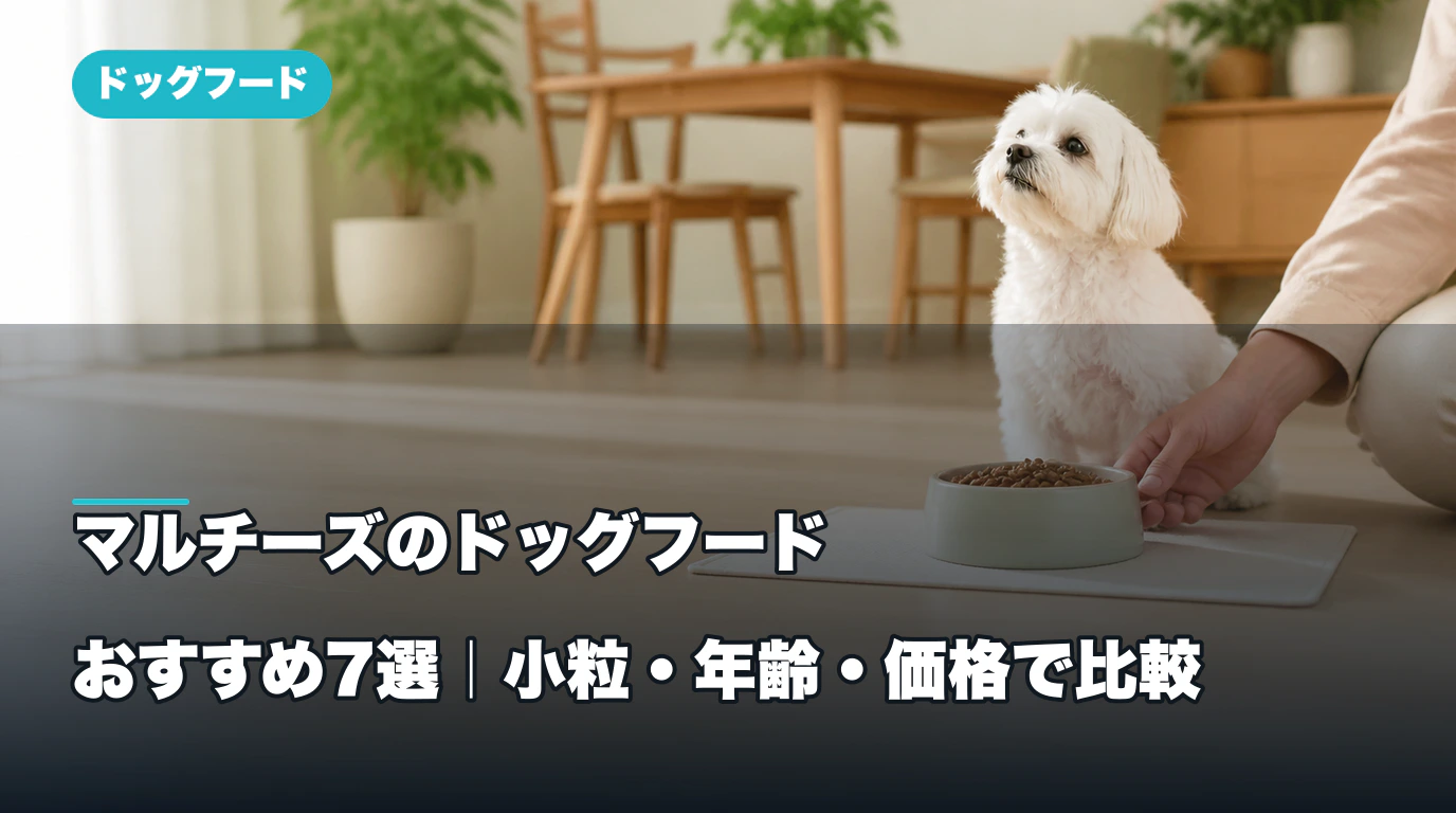 マルチーズに合うドッグフードおすすめ7選｜小粒・年齢・価格で比較