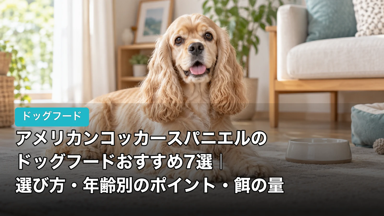 アメリカンコッカースパニエルのドッグフードおすすめ7選｜選び方・年齢別のポイント・餌の量