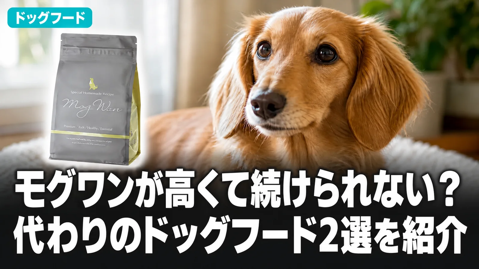 モグワンが高くて続けられない？代わりのドッグフード2選を紹介