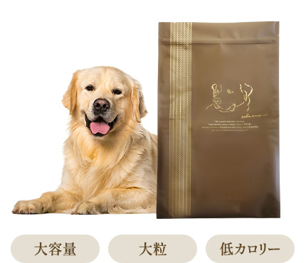ネルソンズドッグフード 大型犬用10kgのパッケージ