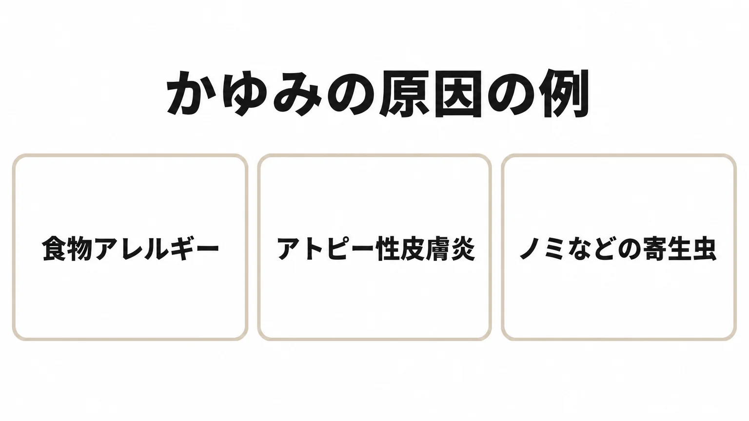 柴犬のかゆみと食物アレルギー