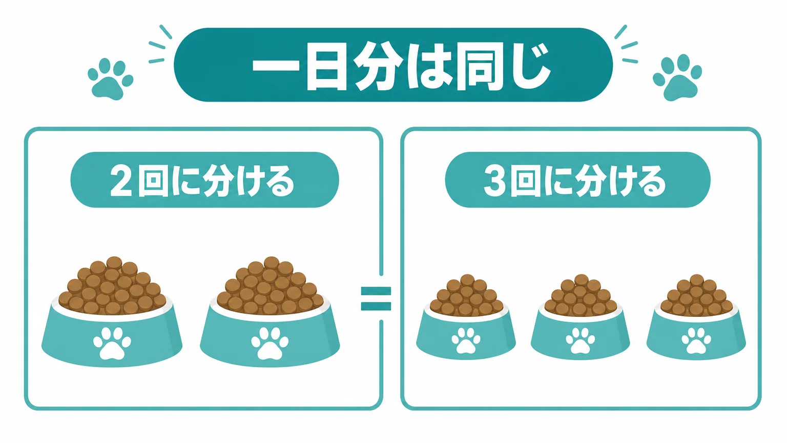 シニアのチワワに与えるドッグフードの量と回数
