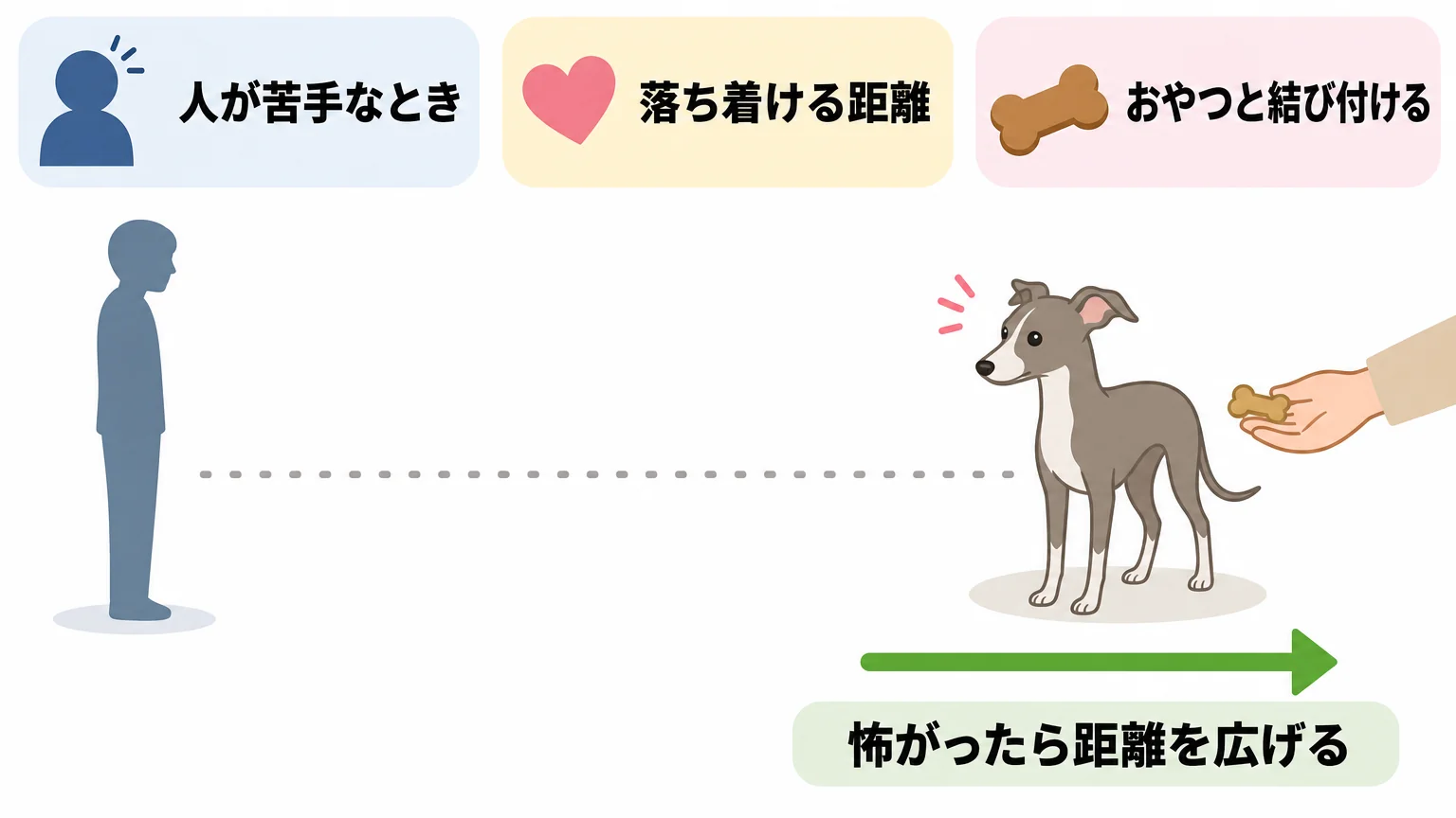 イタグレのしつけと接し方｜安心して学べる関わり方