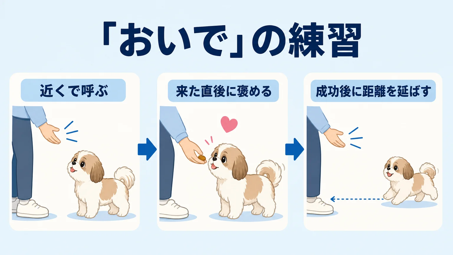 シーズーの性格に合わせたしつけと接し方
