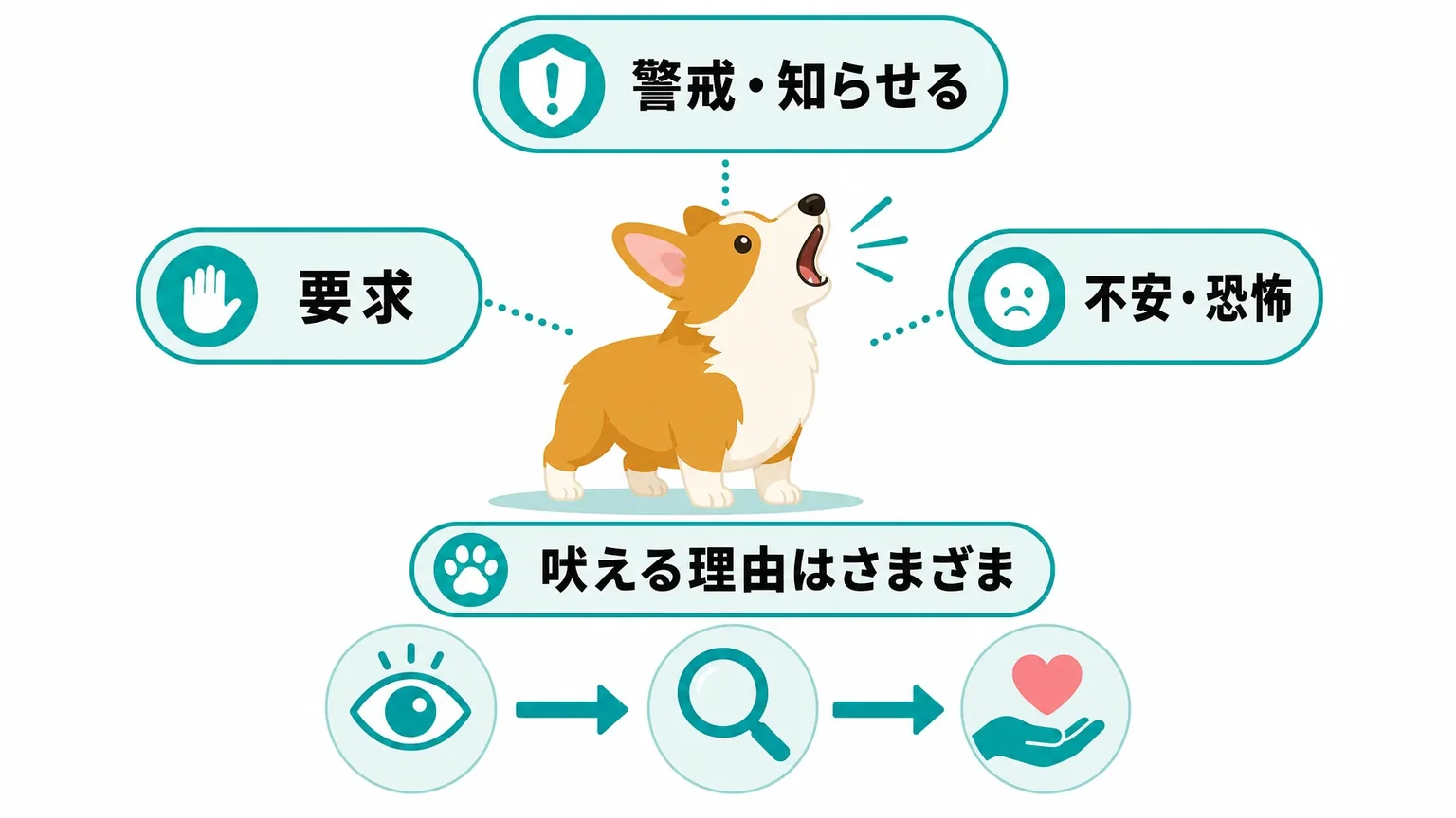 コーギーはよく吠える?吠えやすい理由と向き合い方