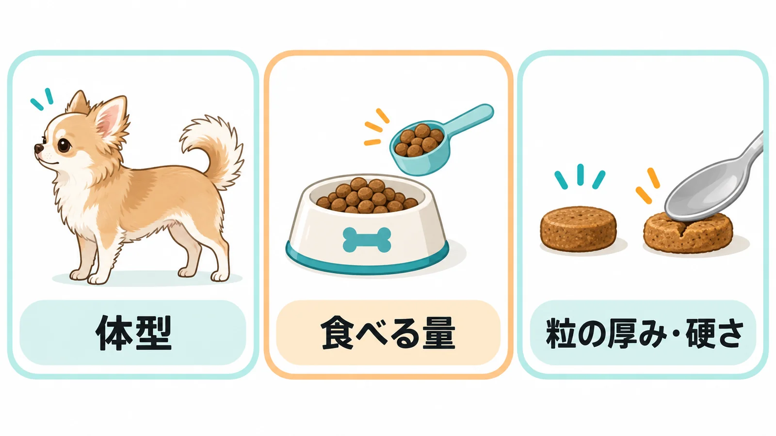 シニアのチワワに合うドッグフードの選び方