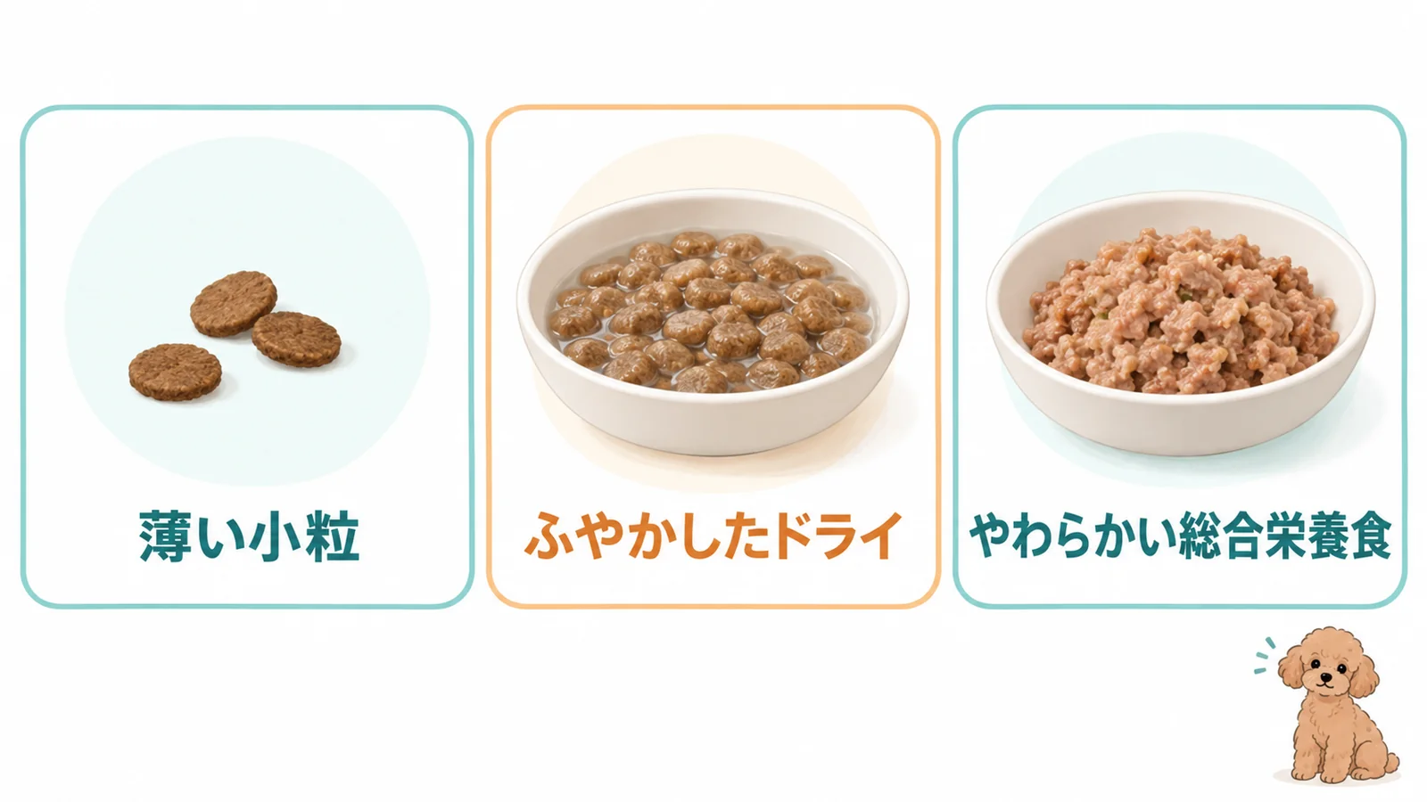 シニアのトイプードルに合うドッグフードの選び方