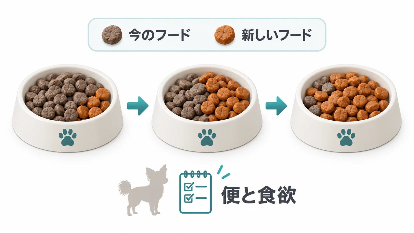 ドッグフードの切り替え方とふやかし方