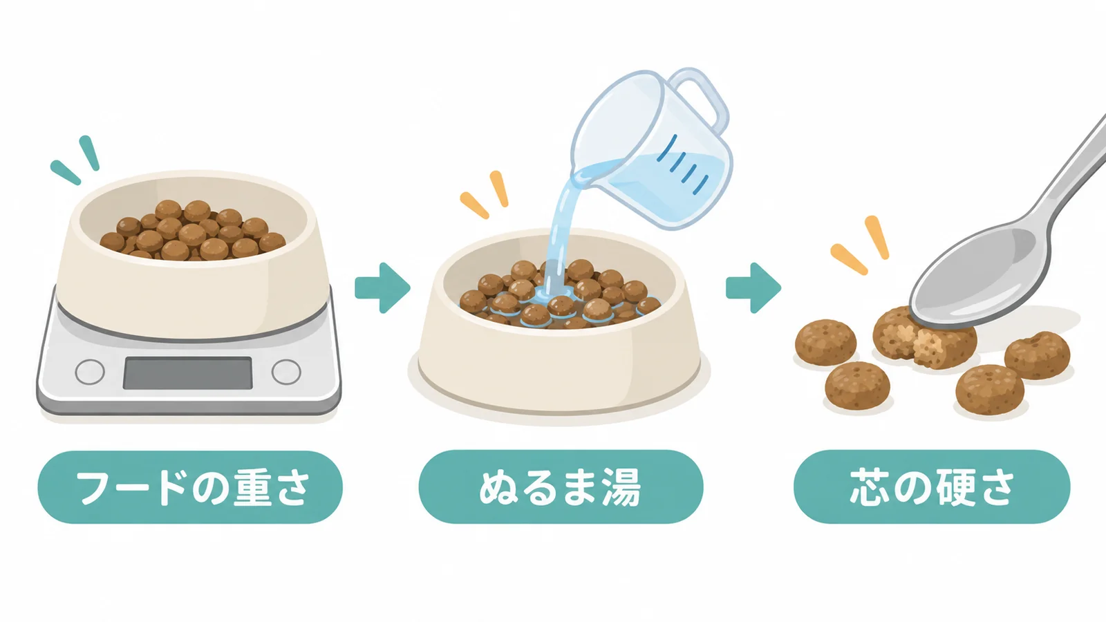 ドッグフードのふやかし方と切り替え方