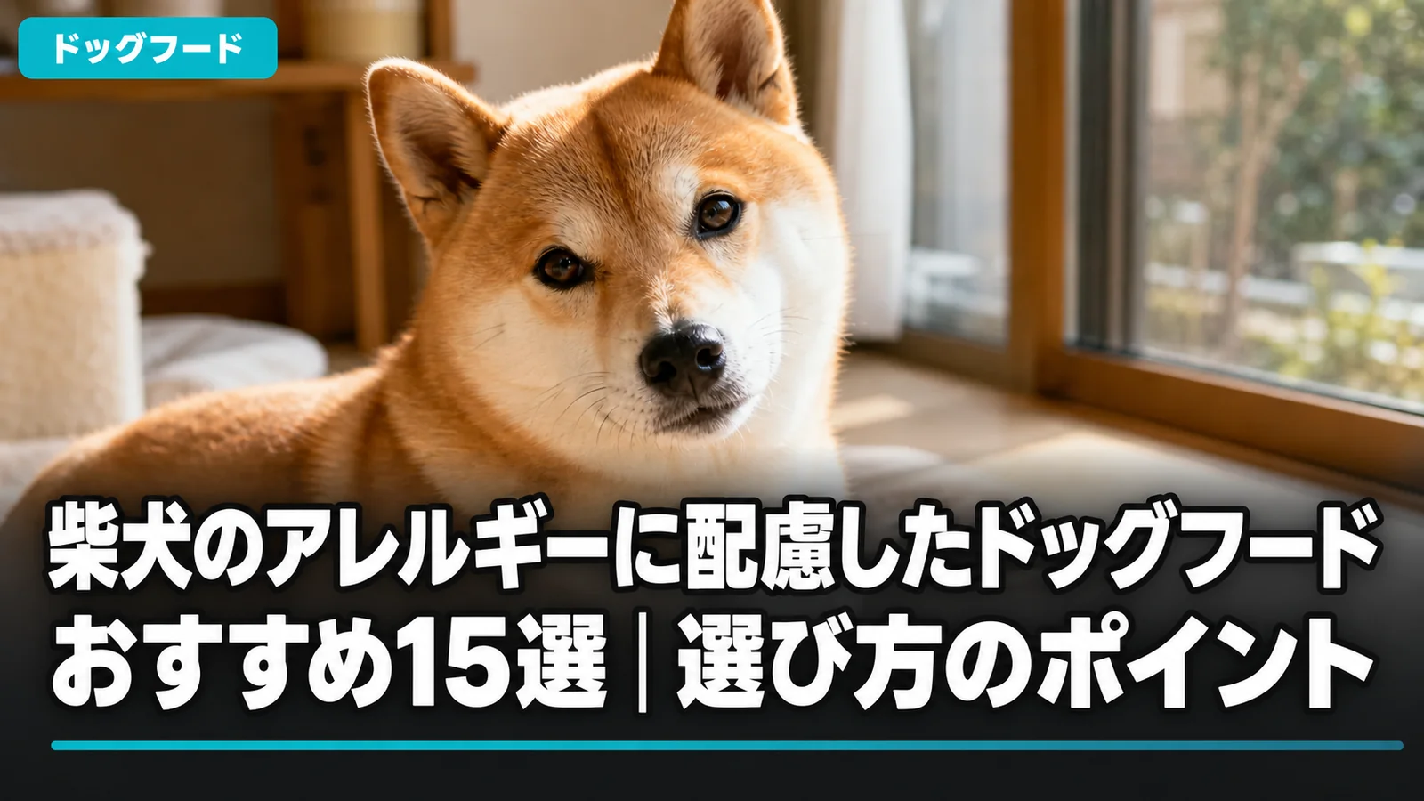 柴犬のアレルギーに配慮したドッグフードおすすめ15選｜選び方のポイント
