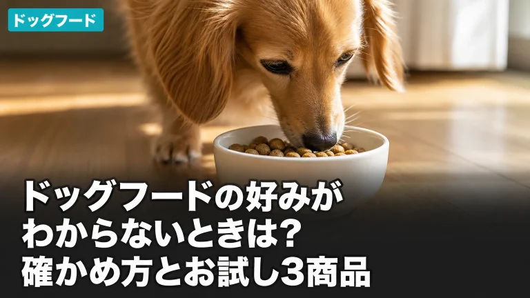 ドッグフードの好みがわからないときは？確かめ方とお試し3商品