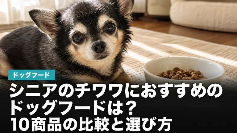 シニアのチワワにおすすめのドッグフードは？10商品の比較と選び方